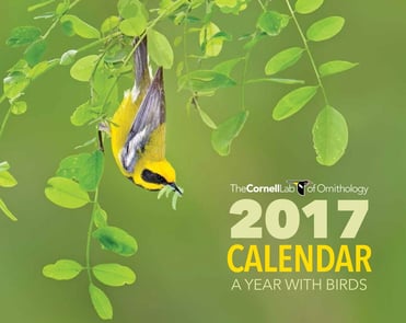 2017-Membership-Calendar_Cover-800px.jpg 2017-Membership-Calendar_Cover-800px.jpg