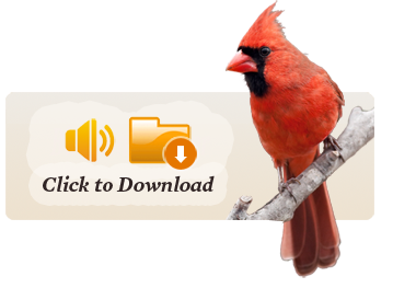 download songs