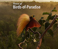 audio cover.2