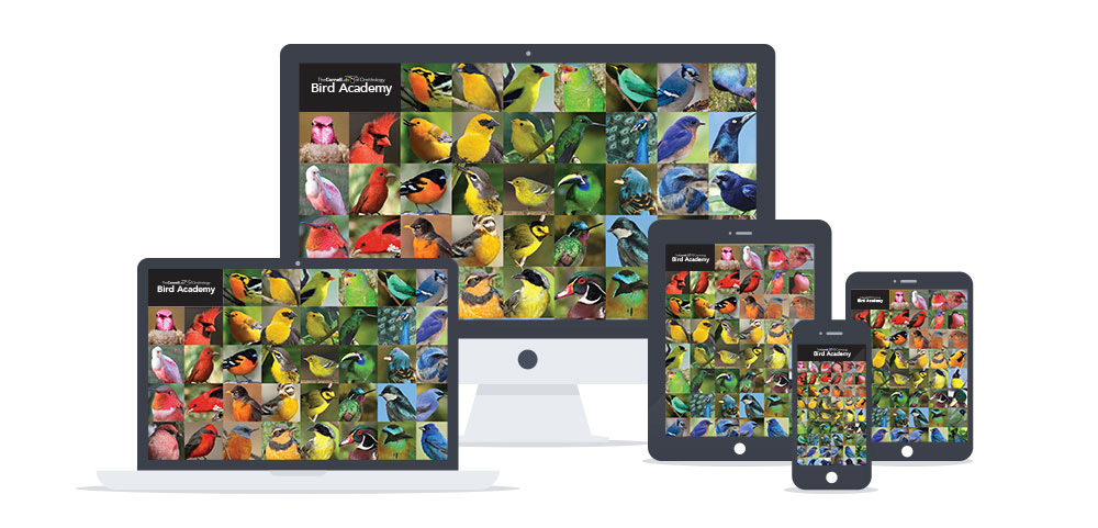 wallpaper_on_devices