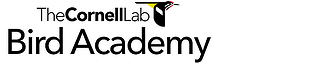 All About Bird Biology