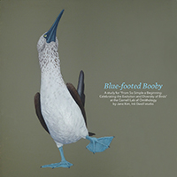 Blue-footed Booby by Jane Kim