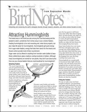 CornellLab-BirdNote-AttractingHummingbirds-small