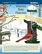 BirdNote01  Winter Bird Feeding  color image resized 162