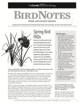 BirdNote19  Spring Bird FAQs 2012CS6 Page 1 resized 163