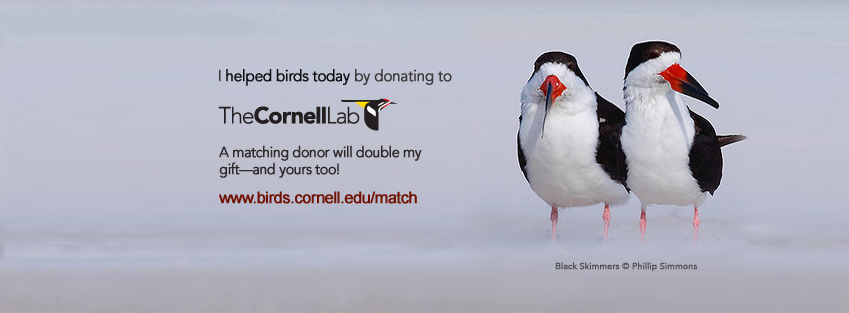 facebook cover donor