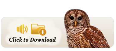 owl download