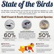 Cornell Lab Gulf Coast South Atlantic Infographic