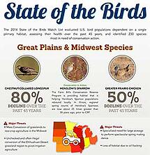 Cornell Lab Great Plains & Midwest Infographic