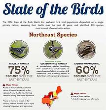 Cornell Lab Northeast Infographic
