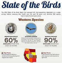Cornell Lab West Infographic