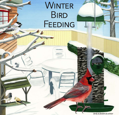 WinterBirdFeedingDownloadImage