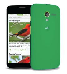 android
