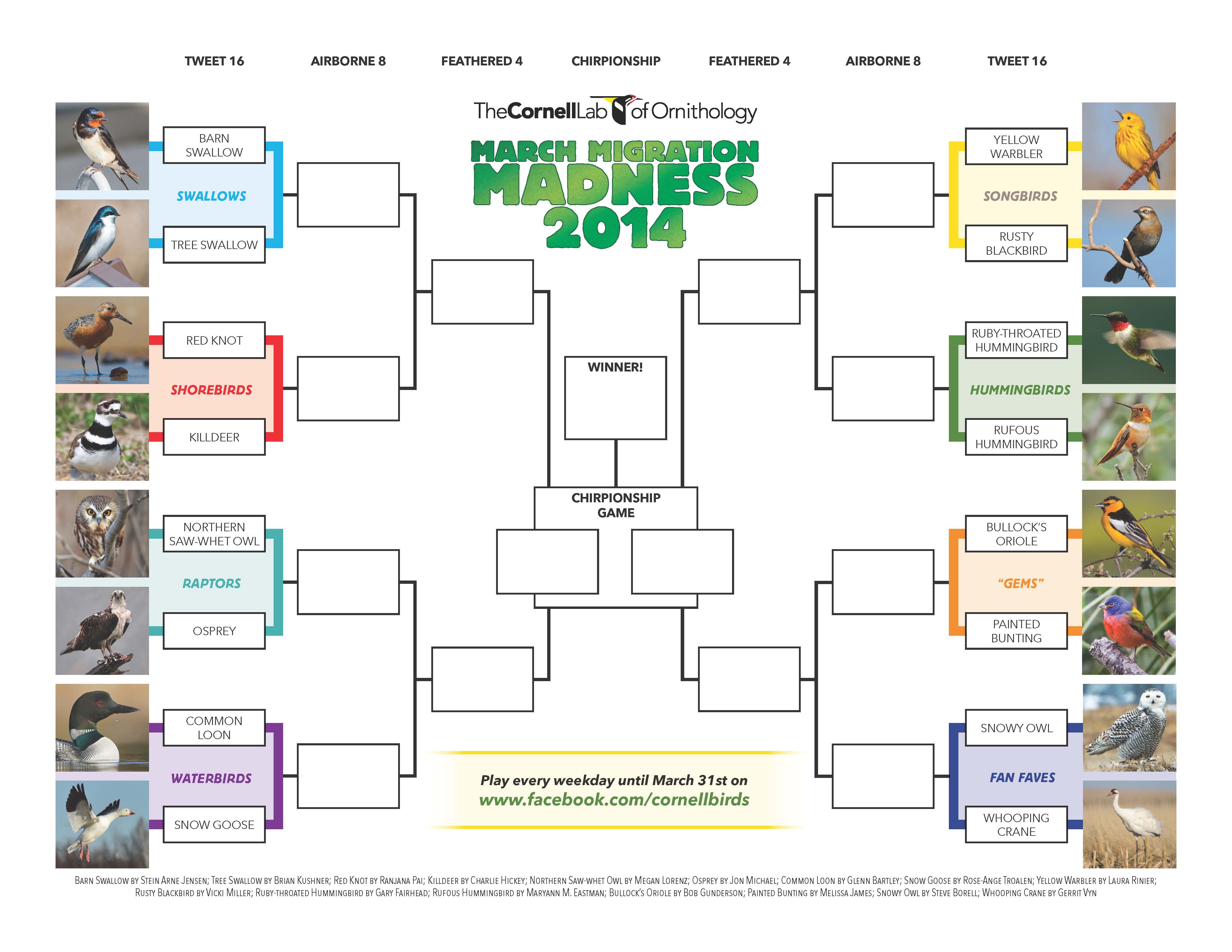 2014_MMM_bracket_image
