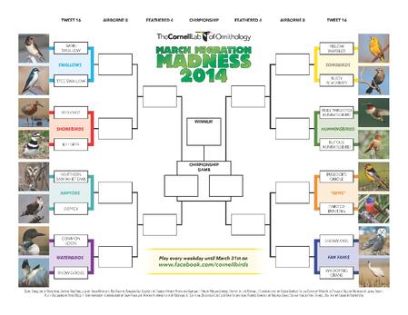 2014_MMM_bracket_image 2014_MMM_bracket_image