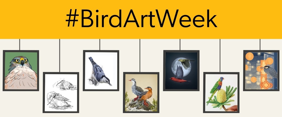 Main Post of #BirdArtWeek2025
