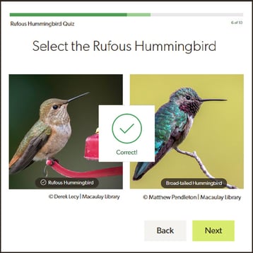 Learn about BirdWise and Subscribe