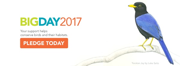 BigDay_Email-banner_032817.jpg