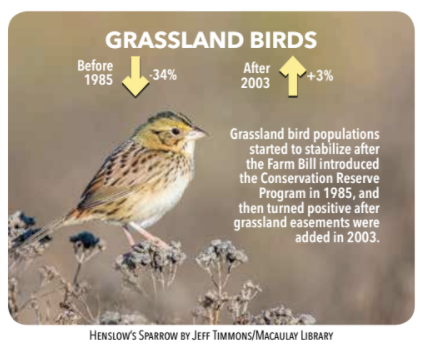 2017 09 fallappealgrass.png