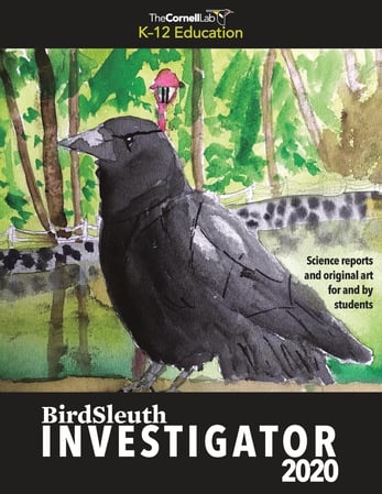 2020 BirdSleuth Investigator_210830_Cover