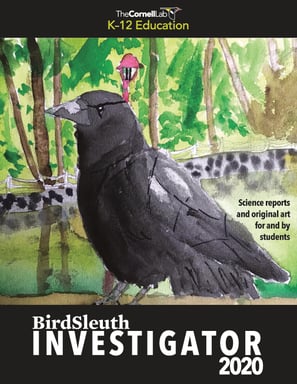2020 BirdSleuth Investigator Cover