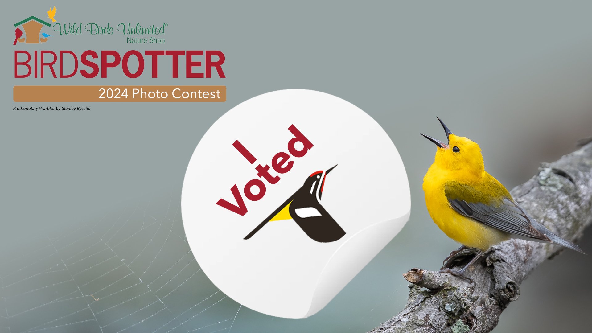 Wild Birds Unlimited Birdspotter Photo Contest 2025 winners