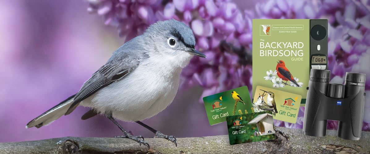 The Ultimate Spring Birdwatching Bundle