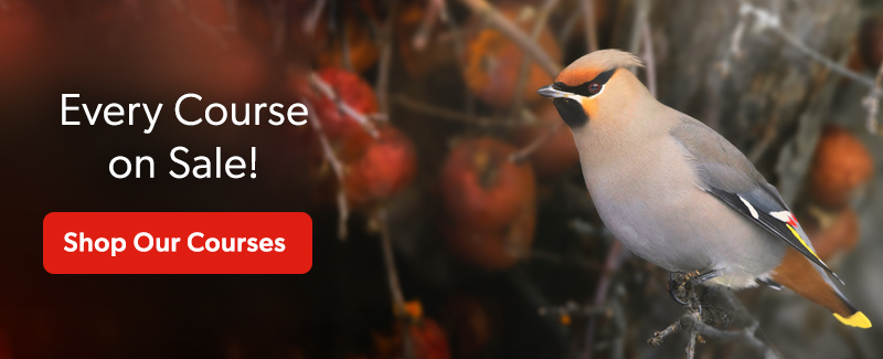 Every Course on Sale! Shop our Courses