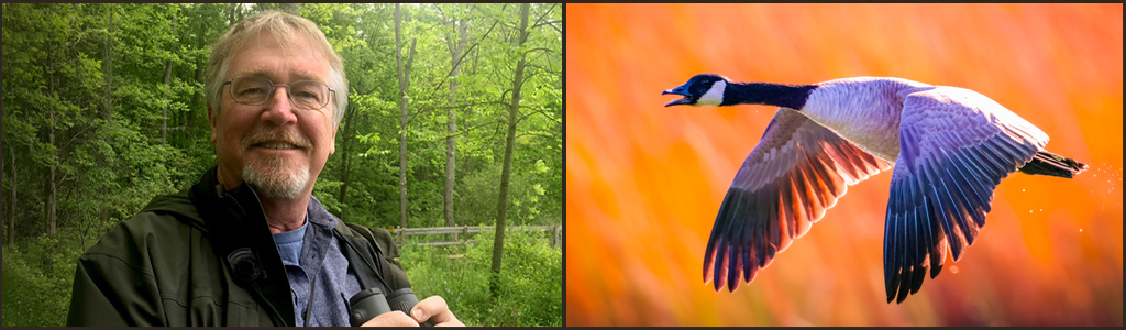 Ask an Ornithologist: Mysteries of Migration recording.