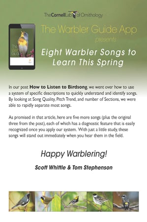 8_Warbler_Songs_cover