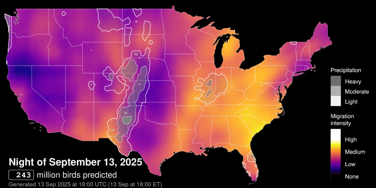 Click or tap to check out the forecast for the upcoming migration nights