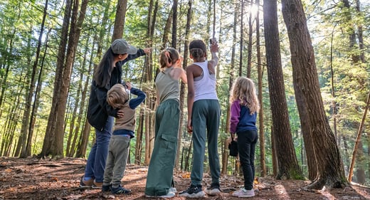 Tap or click to read the Cornell Lab's 2025 annual report