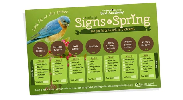 sfo-signs_of_spring-poster-sampe.jpg