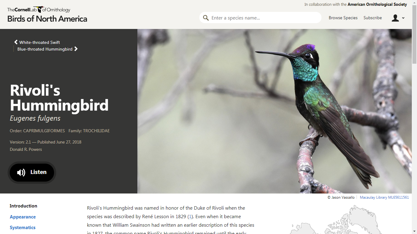 BNA Rivoli's Hummingbird Home Page