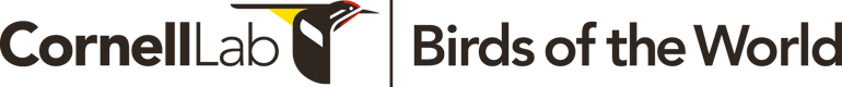 BOW logo horizontal web