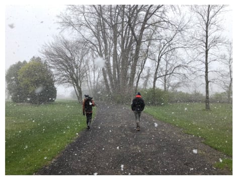 Birding in the snow