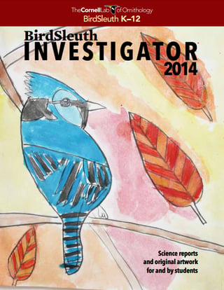 BirdSleuth Investigator 2014