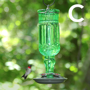 Perky Pet Hummingbird Feeder Showdown