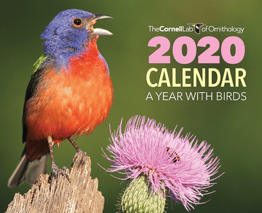 CLO 2020 A Year With Birds Calendar
