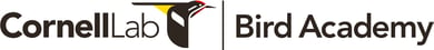 Cornell Lab - Bird Academy