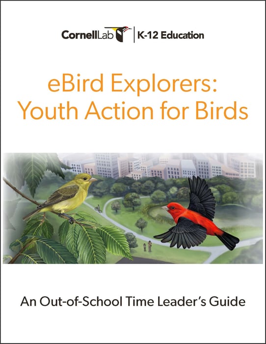 Cover Image_eBird Explorers-Youth Action for Birds_20240514_Inservice Draft