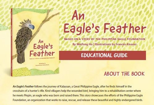 Eagle's Feather Cover