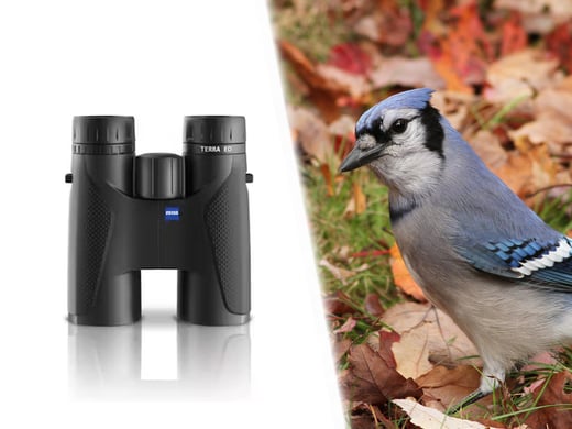 Tap to enter the 2024 Ultimate Fall Birdwatching Bundle. 