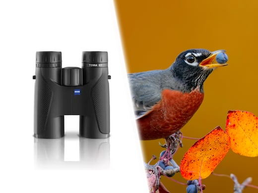 Tap to enter the birdwatching bundle giveaway.