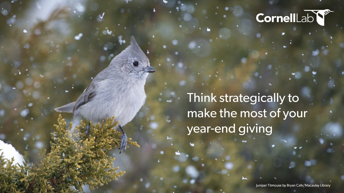 2024 11 Year End Planned Giving Message Header