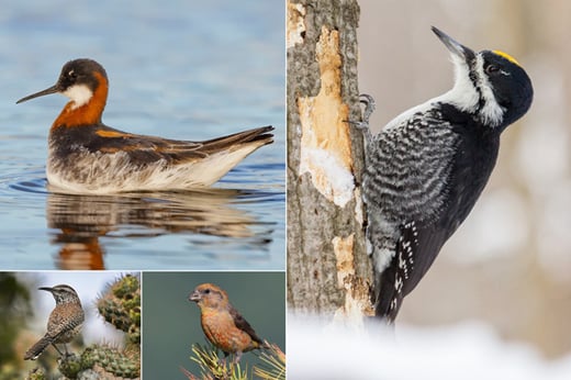 Click or tap for a to-do list to get ready for a Big Day