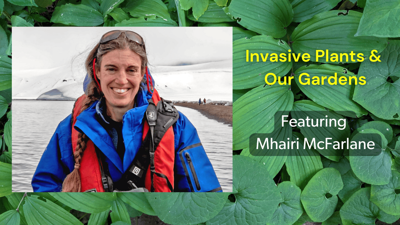 Invasives_Mhairi