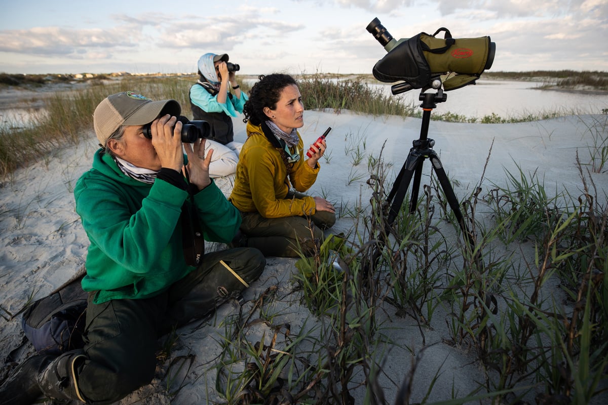 Click or tap to read the Cornell Lab's Annual Report