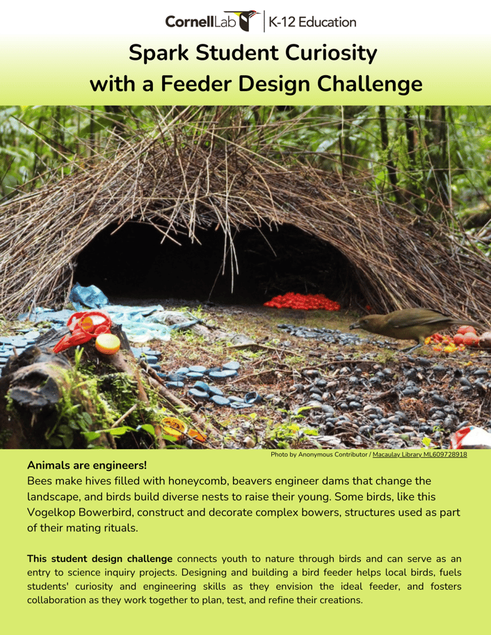 Feeder Design Challenge