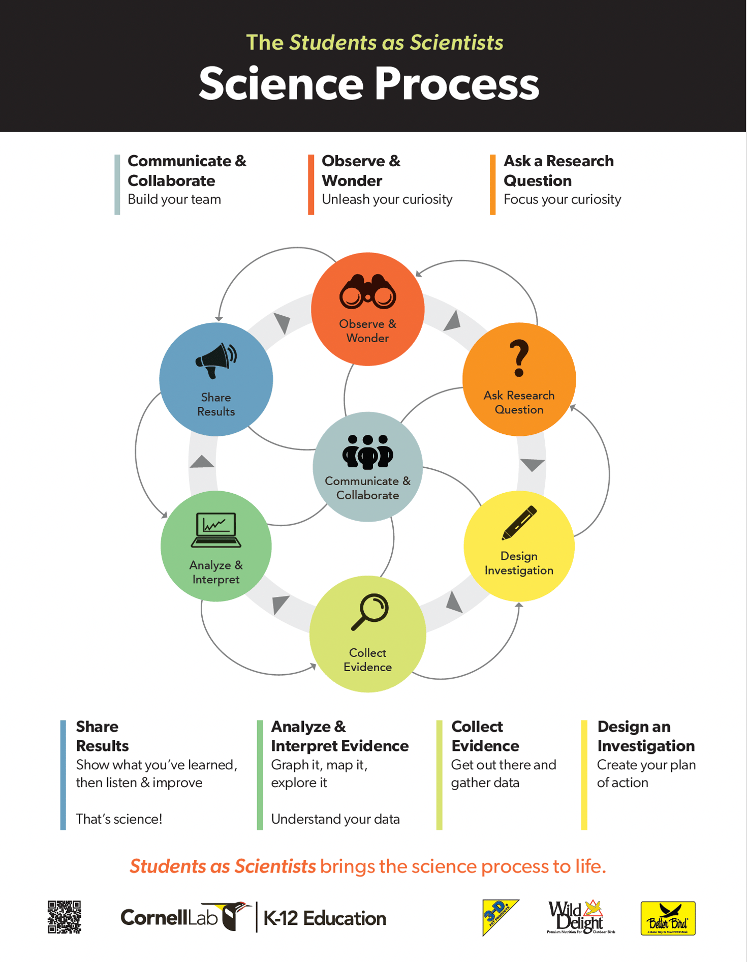 ScienceProcessPoster